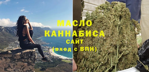 индика Сатка