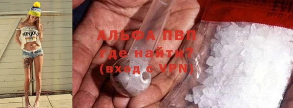 индика Сатка