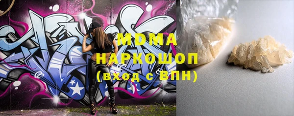 индика Сатка