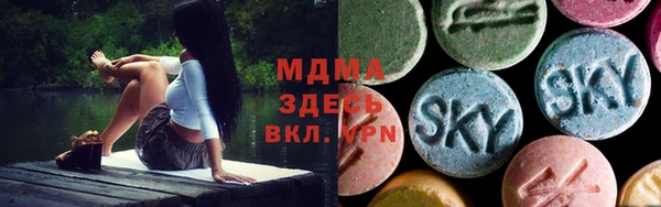 индика Сатка