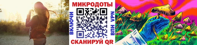 купить   Рошаль  Псилоцибиновые грибы Psilocybine cubensis 
